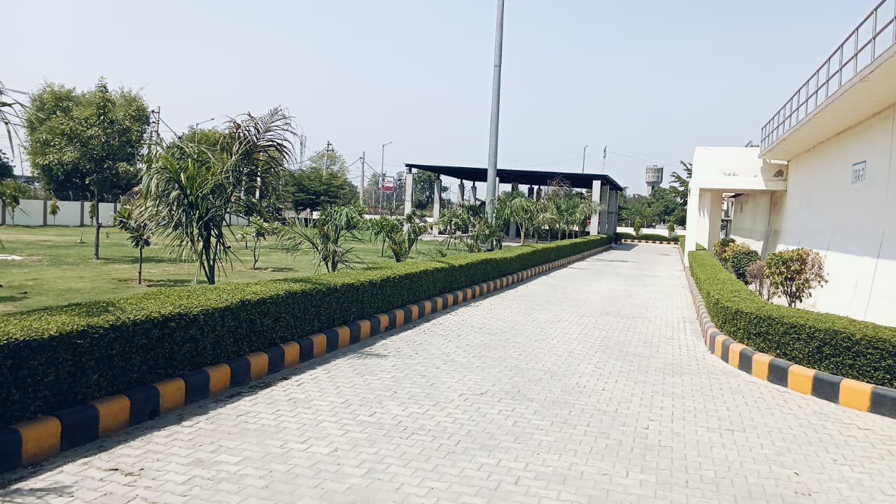 5.5 MLD Sewage Treatment Plant — project photo