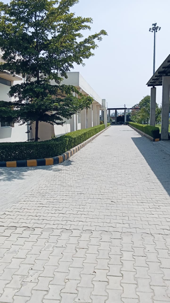 5.5 MLD Sewage Treatment Plant — project photo