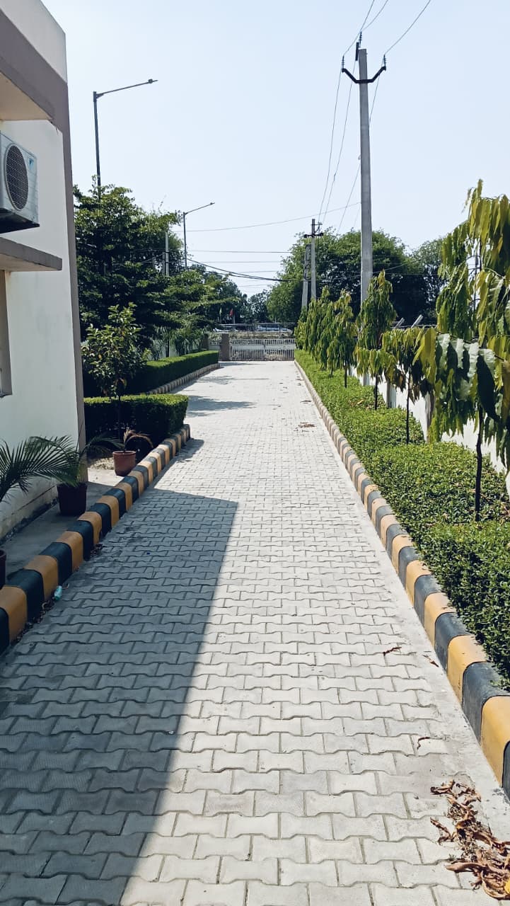 6.0 MLD Sewage Treatment Plant — project photo